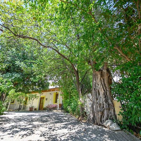 Small Villa Gerani Agios Vlasios  Экстерьер фото