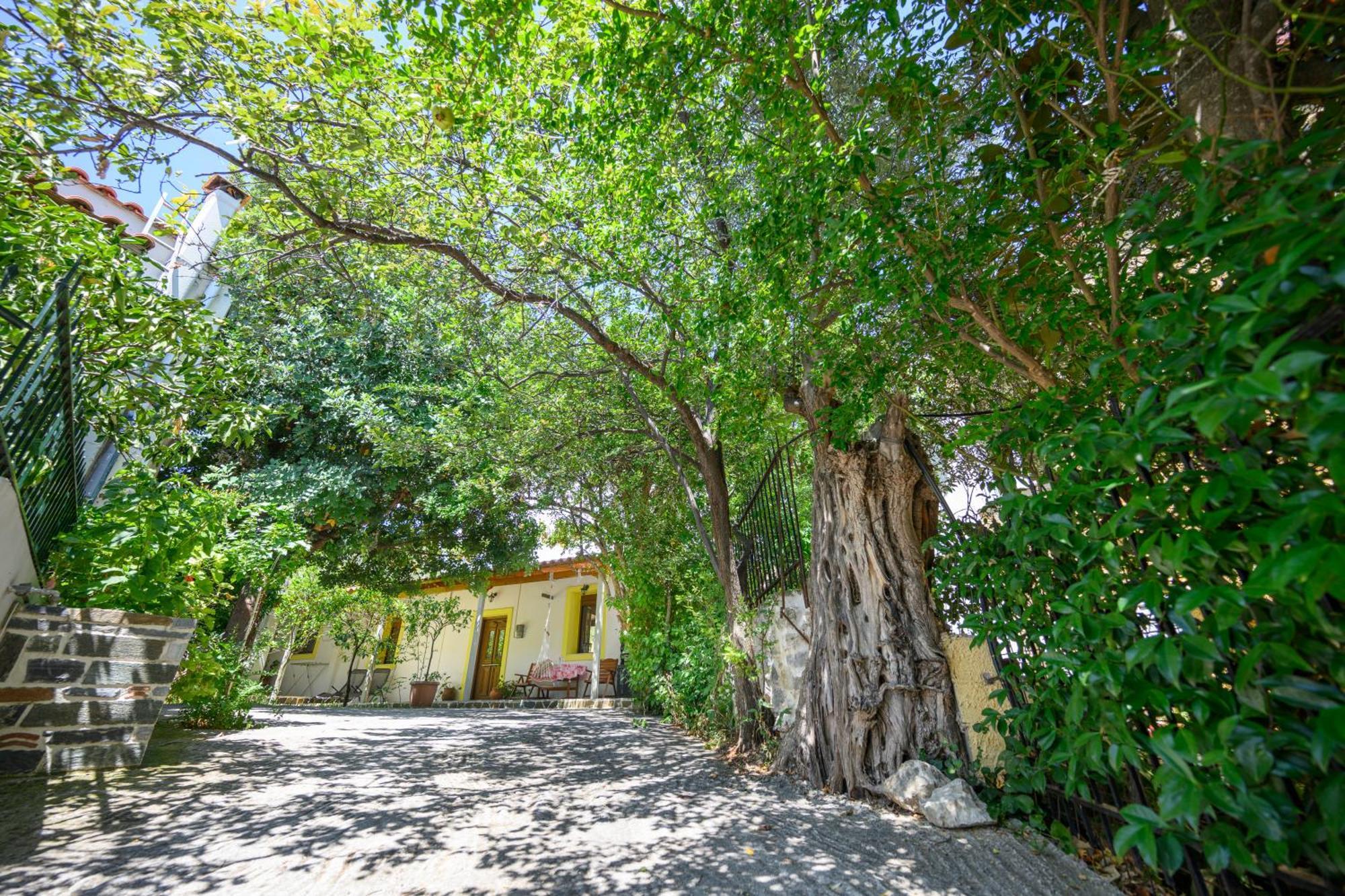 Small Villa Gerani Agios Vlasios  Экстерьер фото