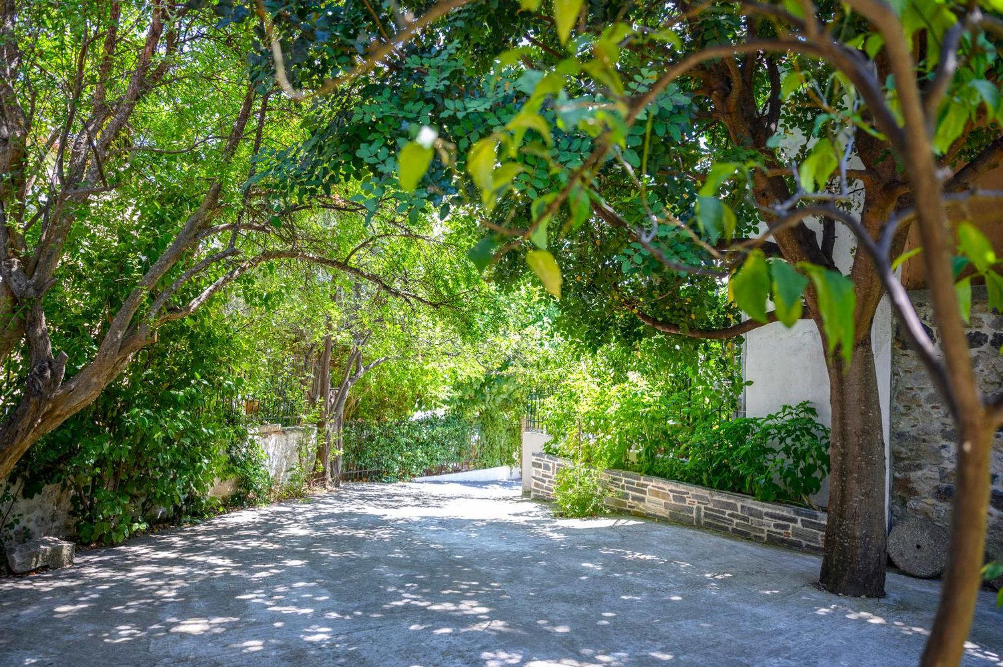 Small Villa Gerani Agios Vlasios  Экстерьер фото