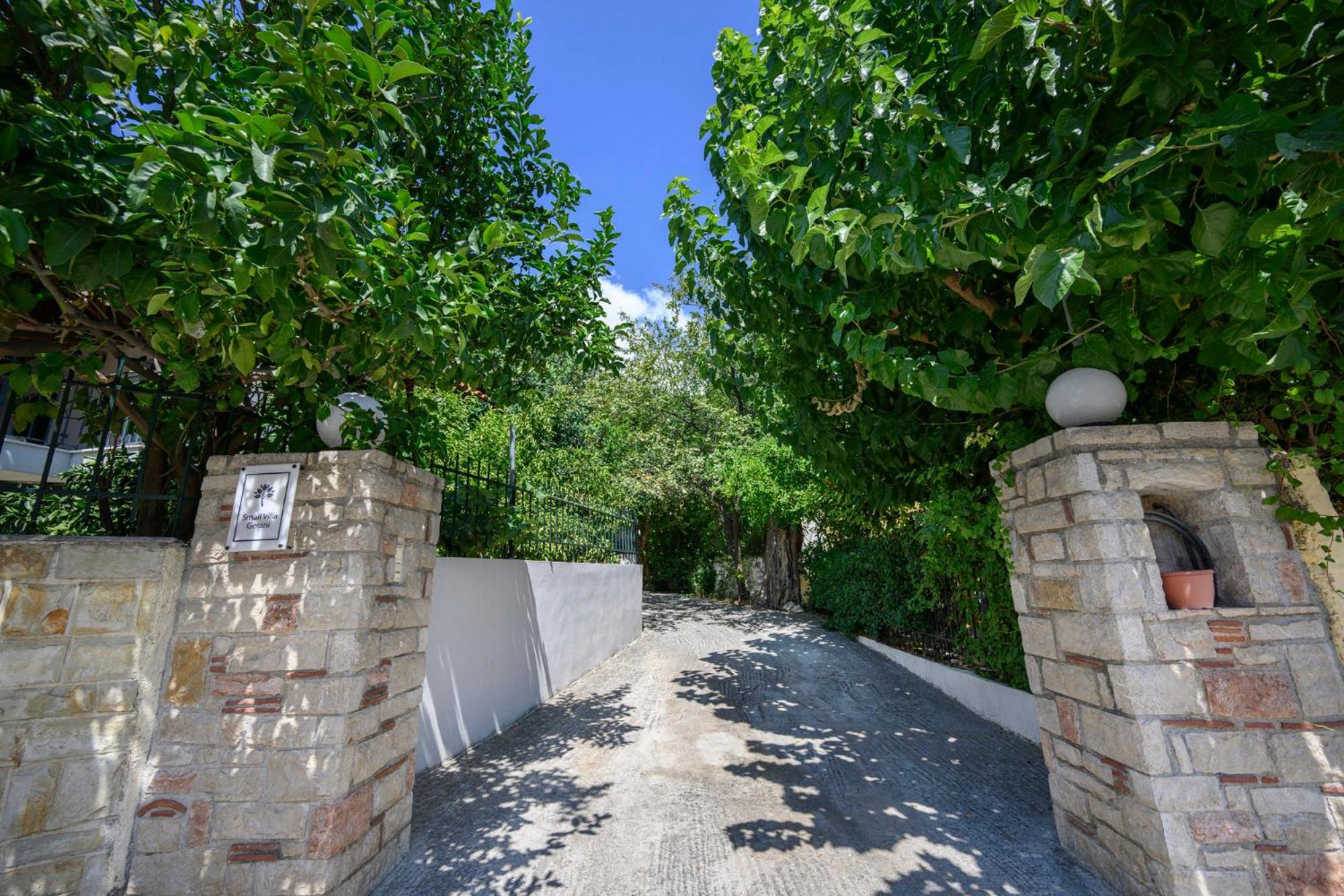 Small Villa Gerani Agios Vlasios  Экстерьер фото