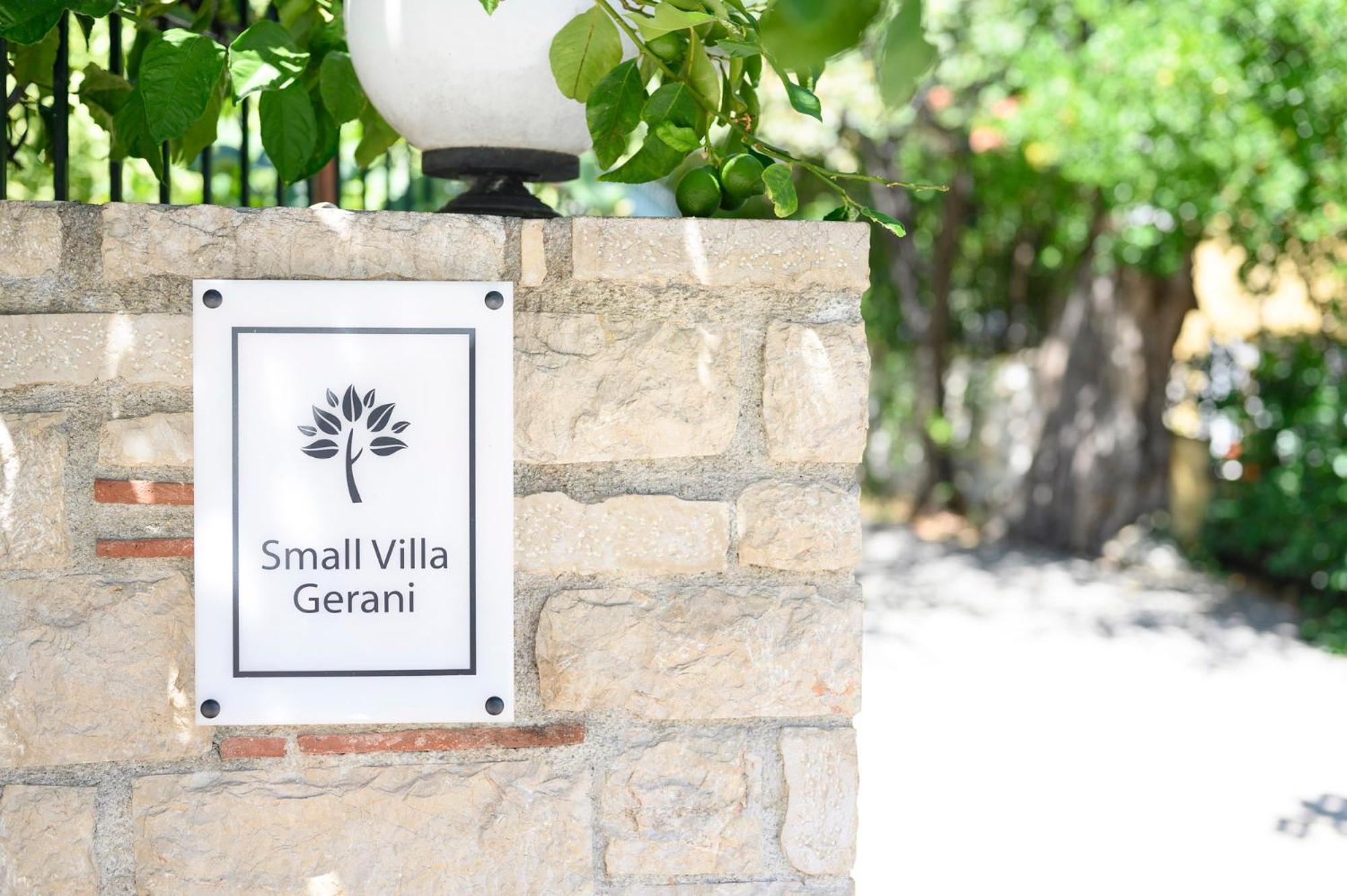 Small Villa Gerani Agios Vlasios  Экстерьер фото